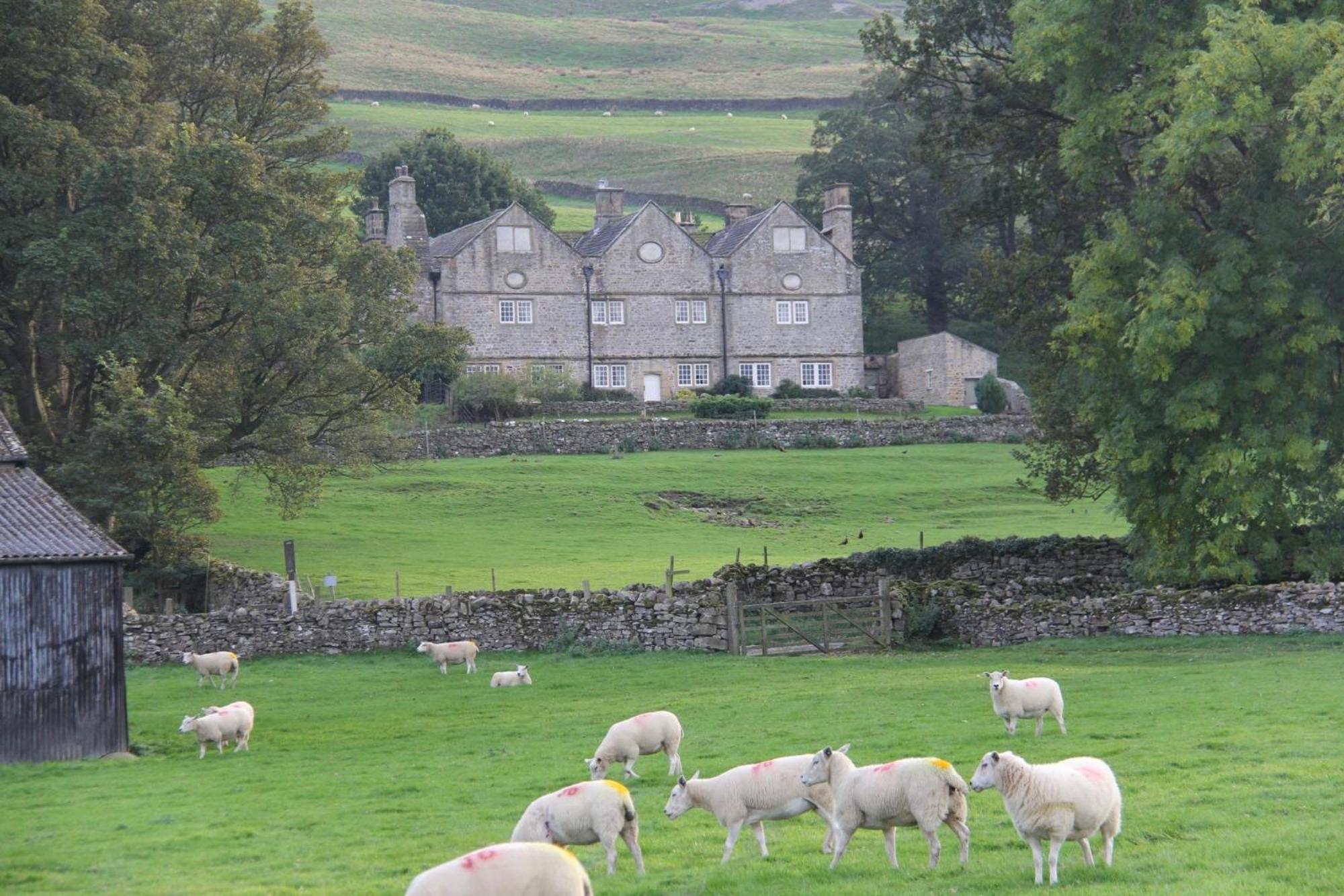 Braithwaite Hall Bed & Breakfast Middleham Dış mekan fotoğraf